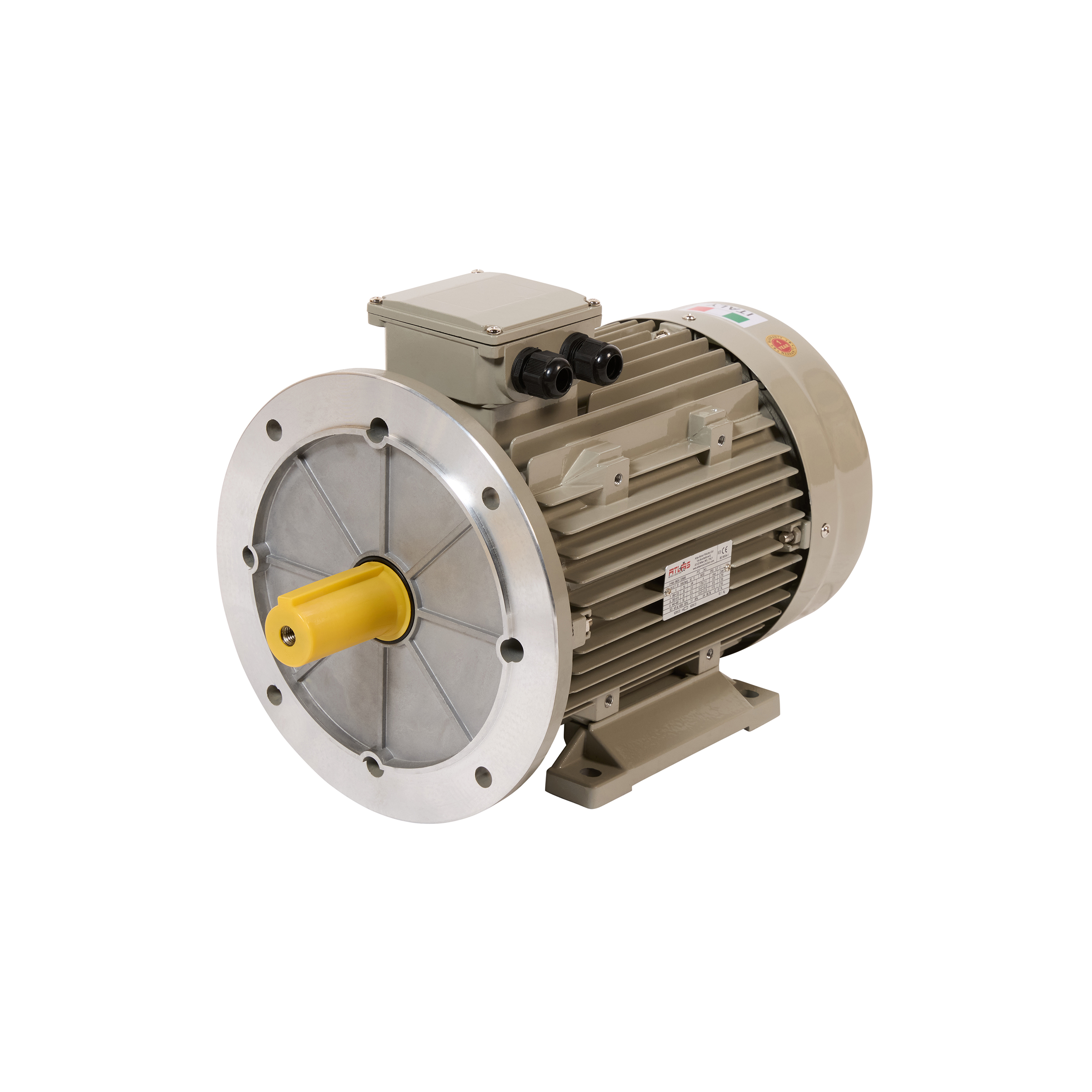Aluminum Electric Motors